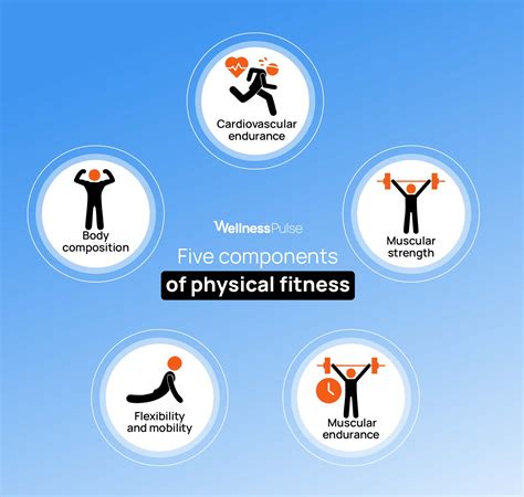 Components Of Fitness