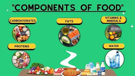 Components Of Food Chart