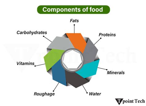 Components Of Food Class 6 Notes