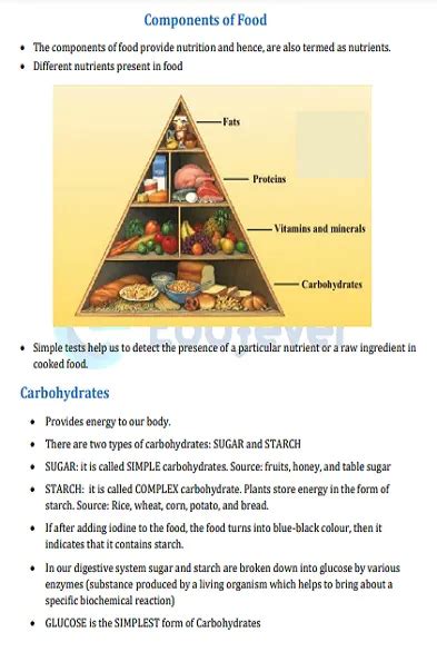 Components Of Food Class 6