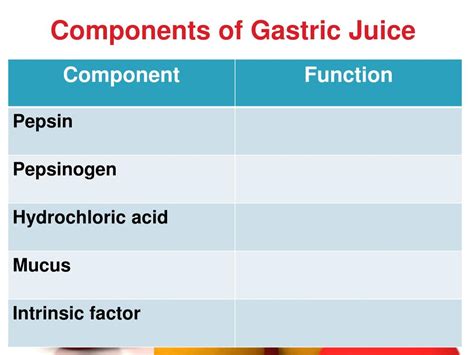 Components Of Gastric Juice
