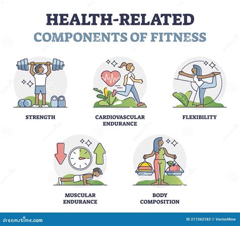Components Of Health Related Fitness