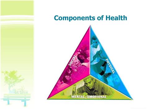 Components Of Health