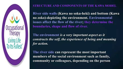 Components Of Kawa Model
