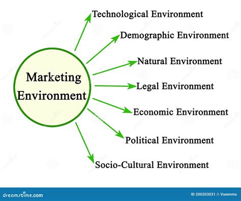 Components Of Market Environment