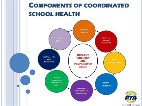 Components Of School Health Services