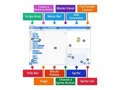 Components Of Scratch Window