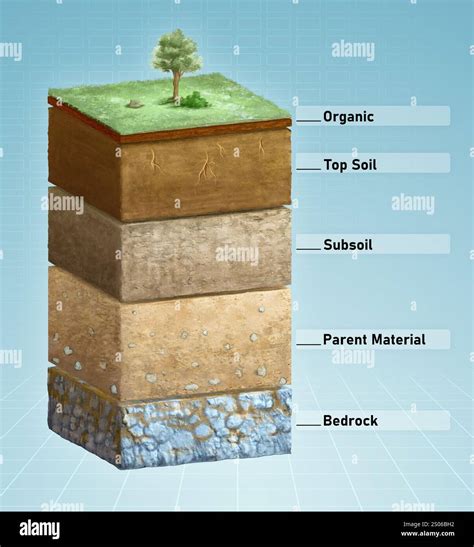 Components Of Soil