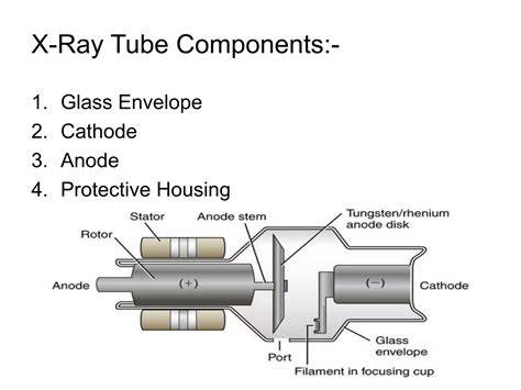 Components Of X Rays