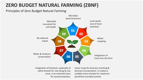 Components Of Zbnf