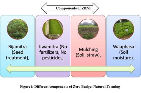 Components Of Zero Budget Natural Farming