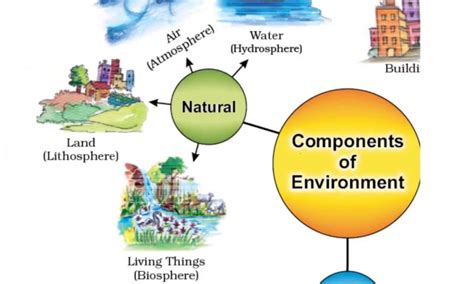 Components Science