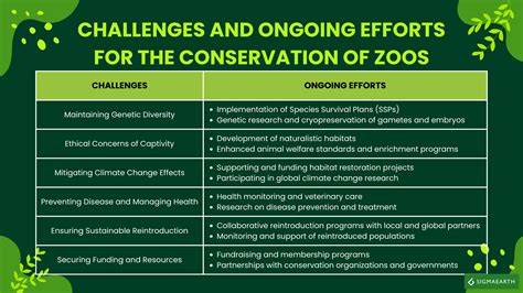 Conservation Efforts Of Zoos