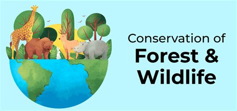 Conservation Of Forest And Wildlife Class 10