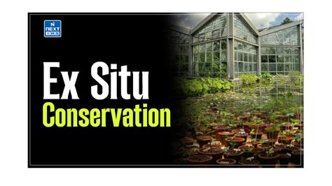 Conservation Of In Situ And Ex Situ