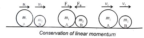 Conservation Of Linear Momentum Class 11