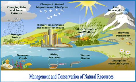 Conservation Of Natural Resources