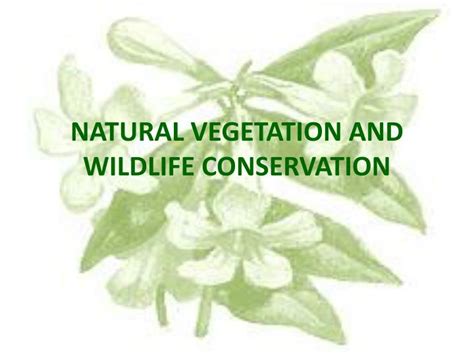 Conservation Of Natural Vegetation And Wildlife