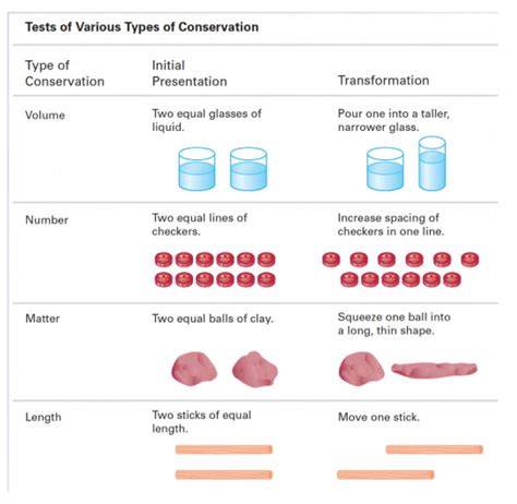 Conservation Of Number