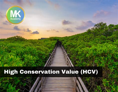 Conservation Of Value