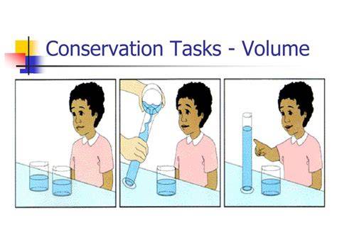 Conservation Of Volume Piaget