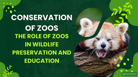 Conservation Of Zoos
