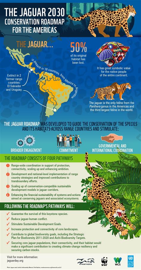 Conservation Status Of Jaguar