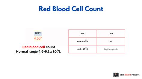 Count Of Red Blood Cells