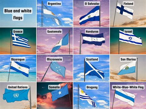 Country Flag Blue