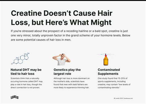 Creatine And Hair Loss