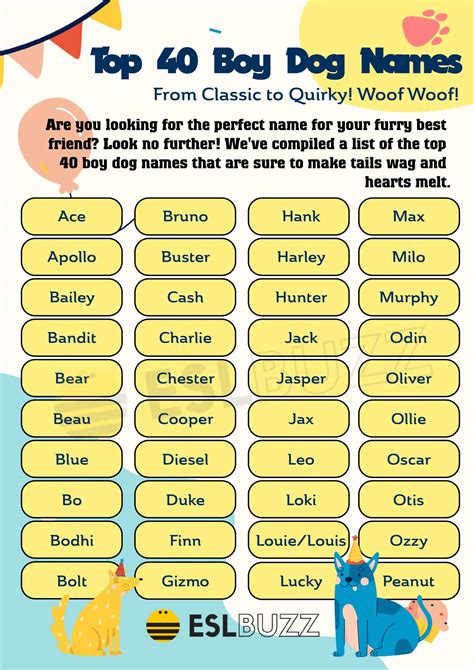 Cute Names For Boy Dogs