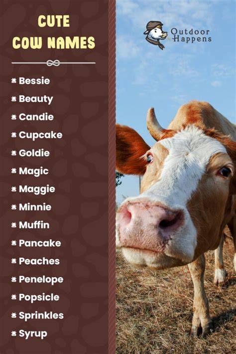 Cute Names For Cows