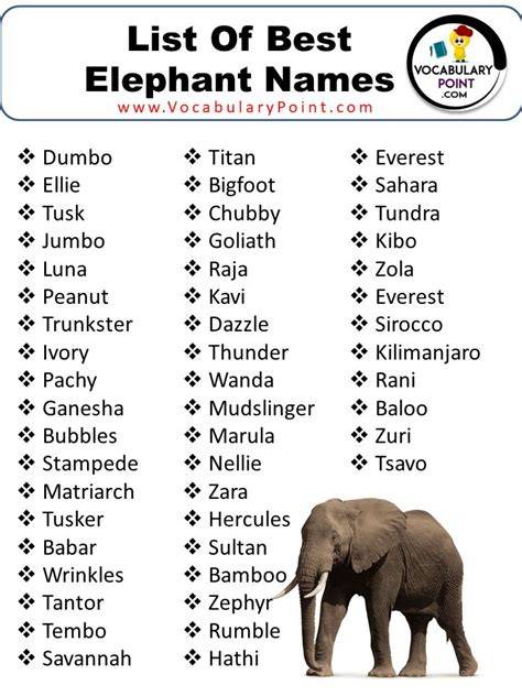Cute Names For Elephant Teddy