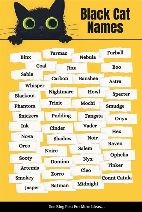 Cute Names For Female Black Cats