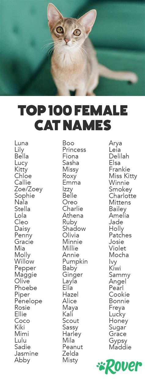 Cute Names For Female Cats