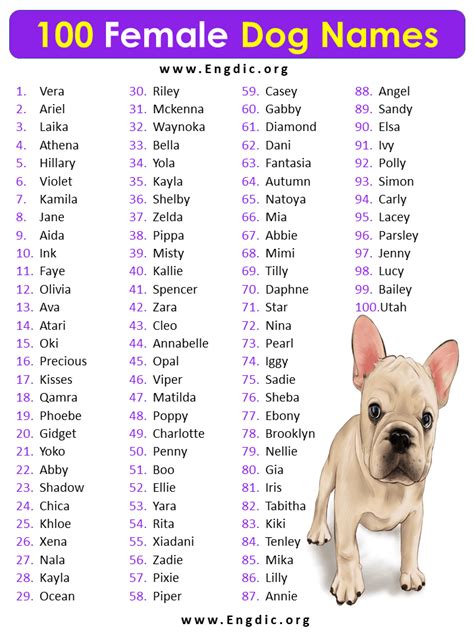 Cute Names For Female Dogs