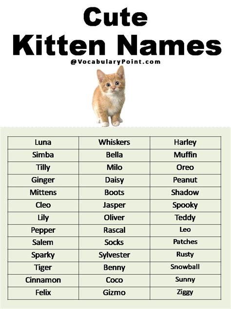 Cute Names For Kittens Girl