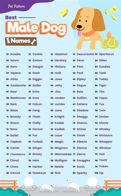 Cute Names For Male Dogs