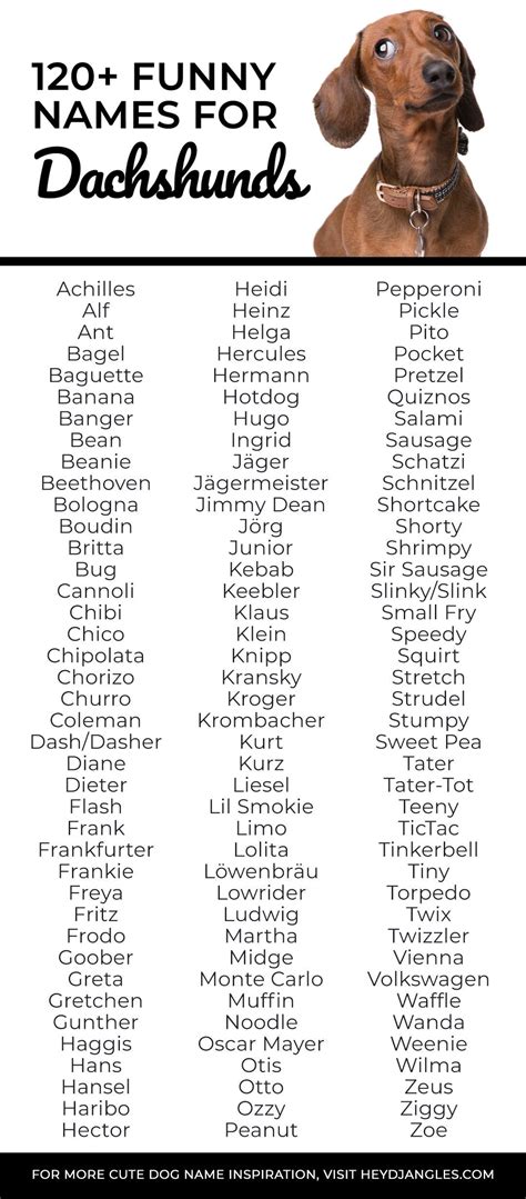 Cute Names For Mini Dachshunds