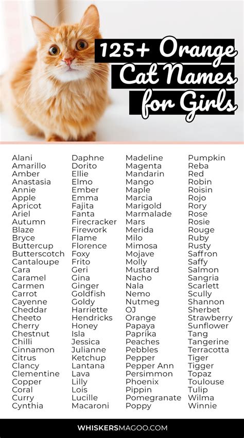 Cute Names For Orange Cats Female