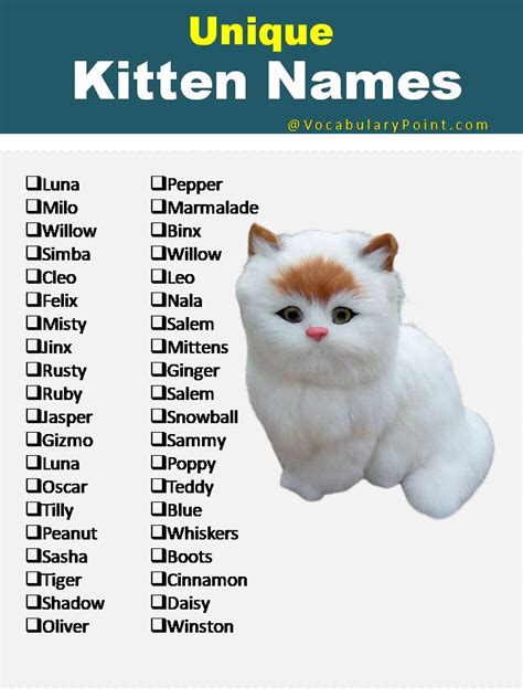 Cute Names For Orange Kittens