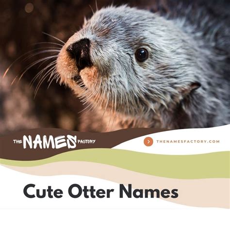 Cute Names For Otters