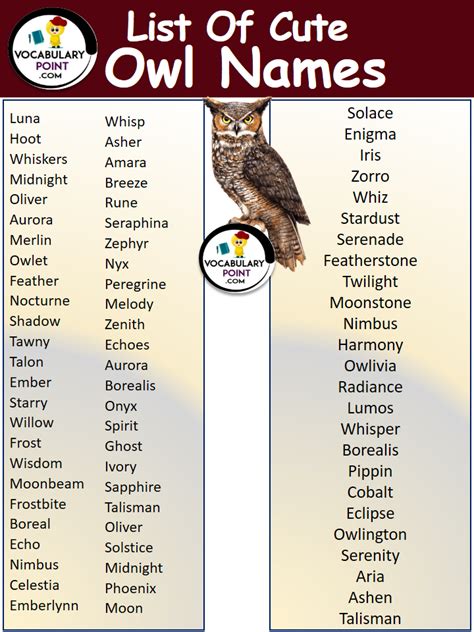 Cute Names For Owls