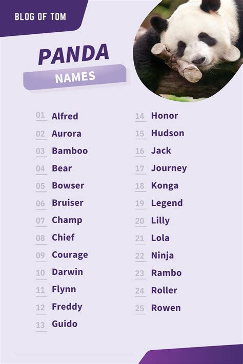 Cute Names For Pandas