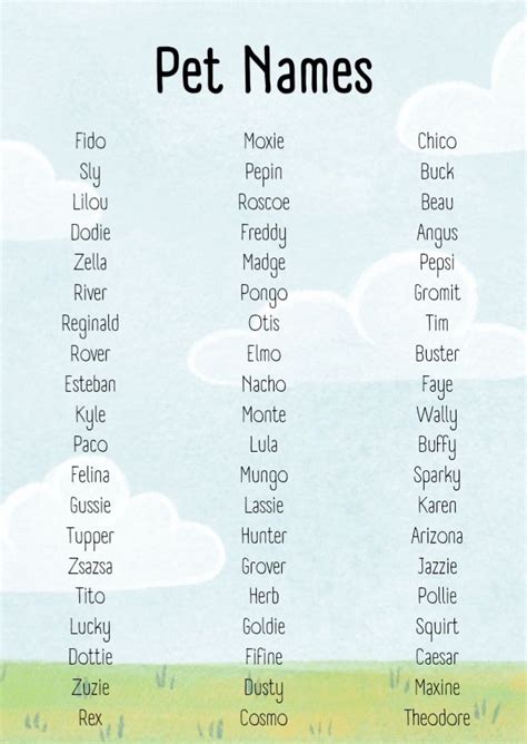 Cute Names For Pets