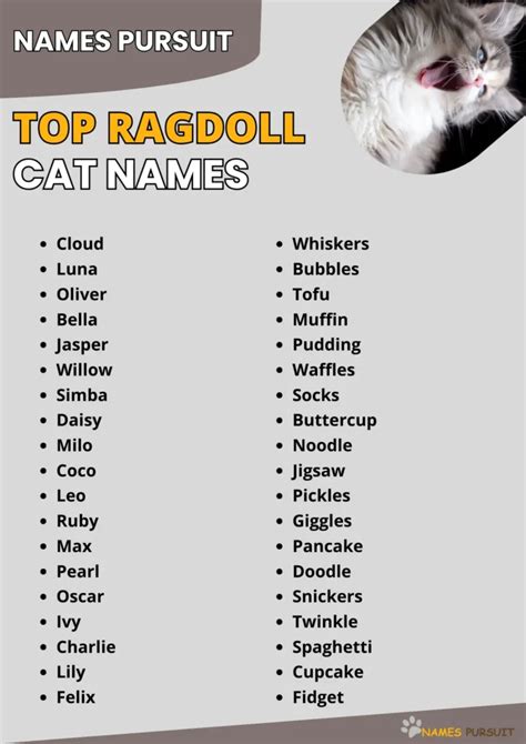 Cute Names For Ragdoll Cats