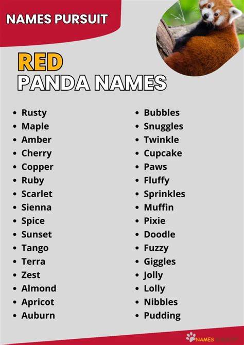 Cute Names For Red Pandas