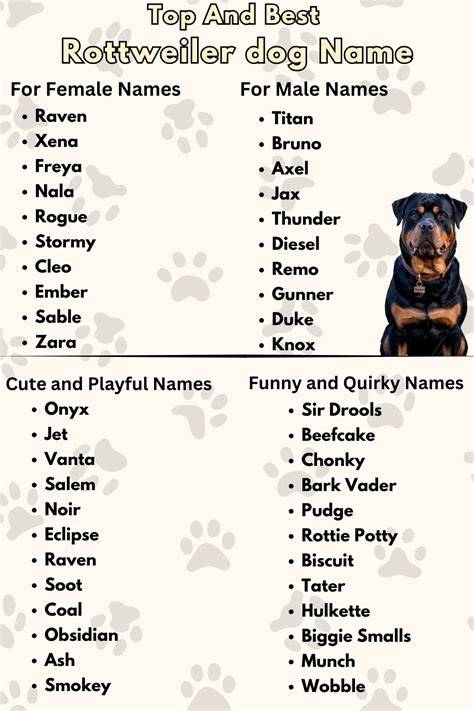 Cute Names For Rottweilers