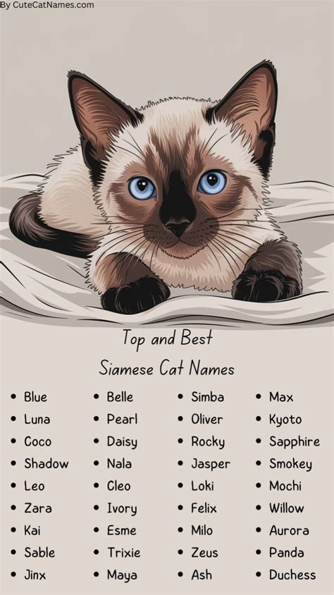 Cute Names For Siamese Cats Girl