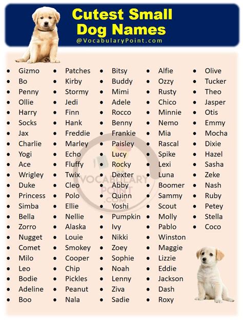 Cute Names For Small Dogs